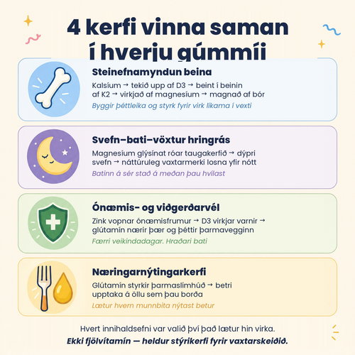 4 kerfi vinna saman í hverju gúmmíi